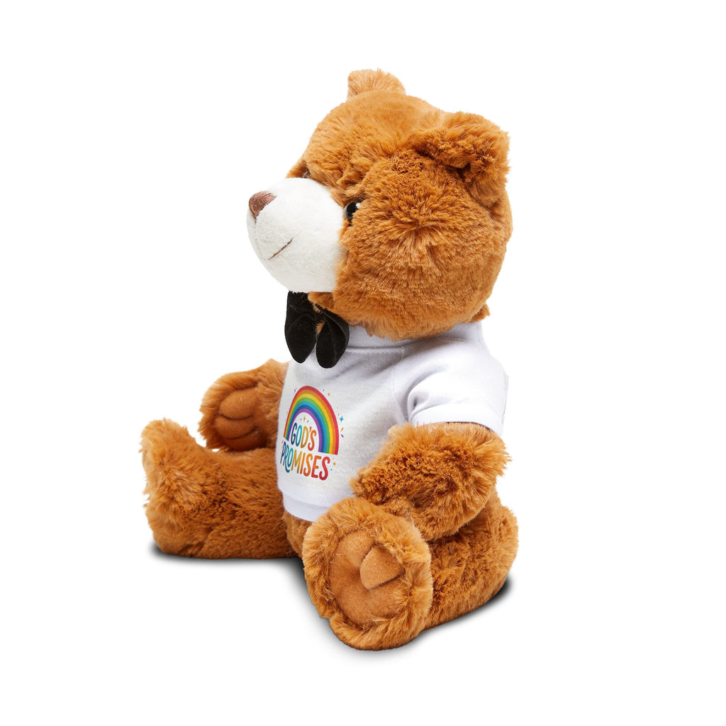 God's Promises Rainbow Teddy Bear