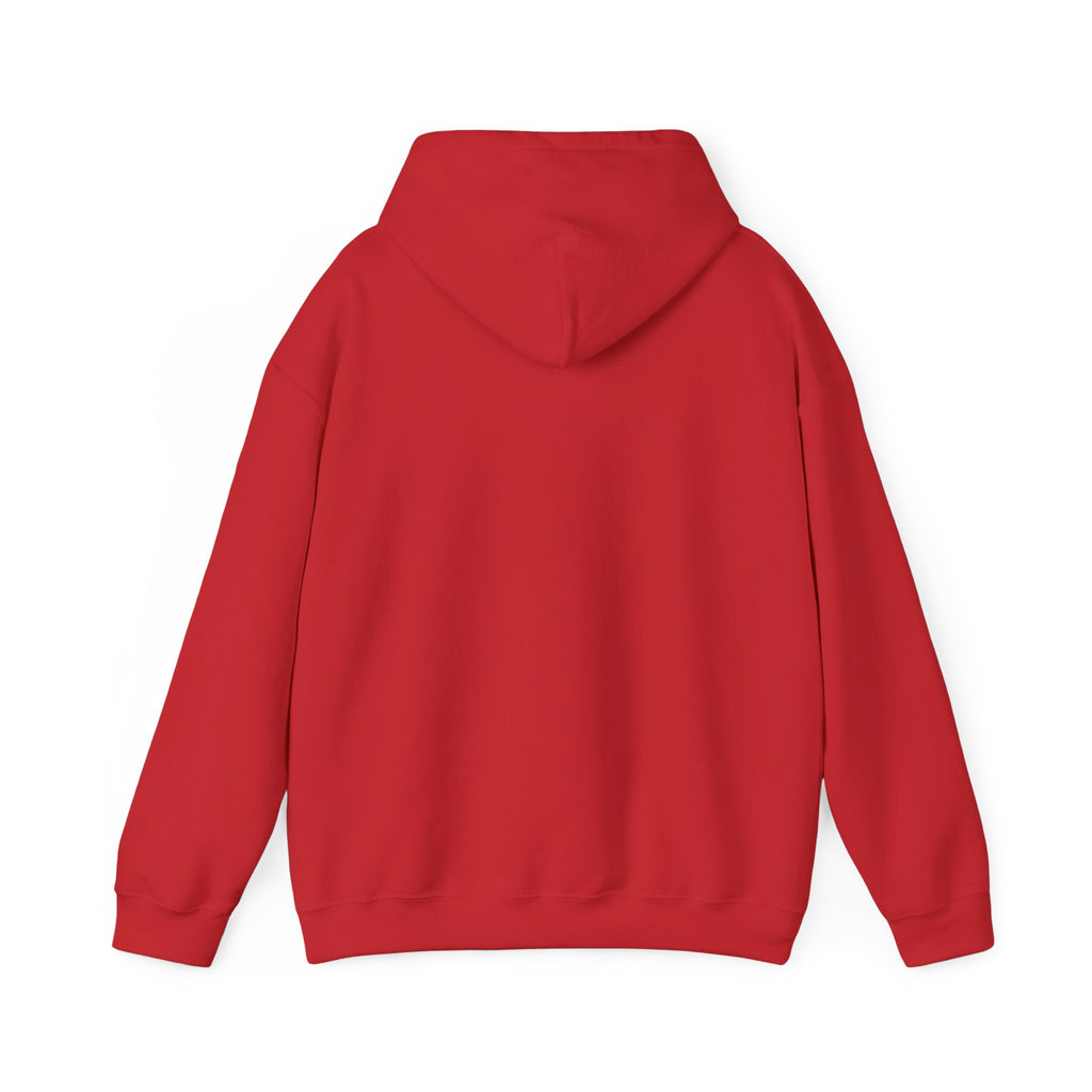 John 3:16 Inspirational Hoodie