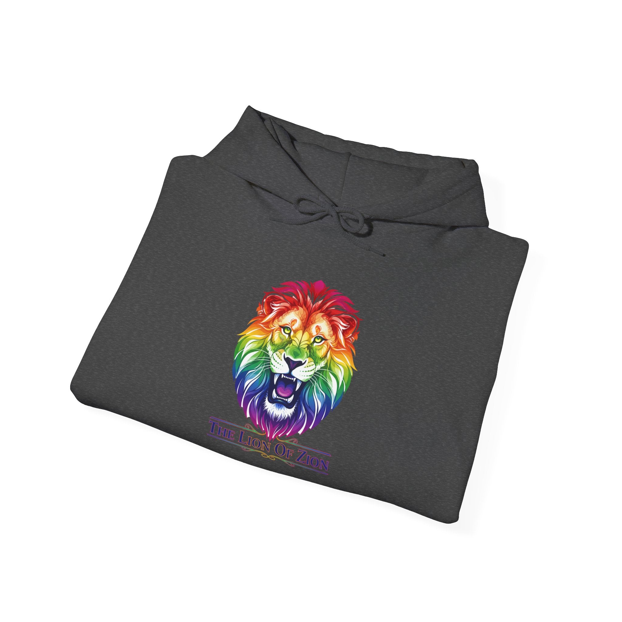 Rainbow Lion of Zion Hoodie