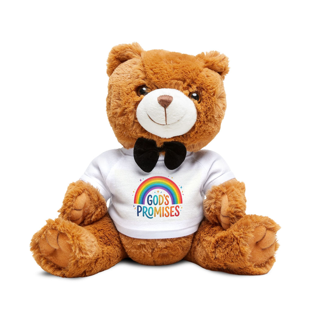 God's Promises Rainbow Teddy Bear