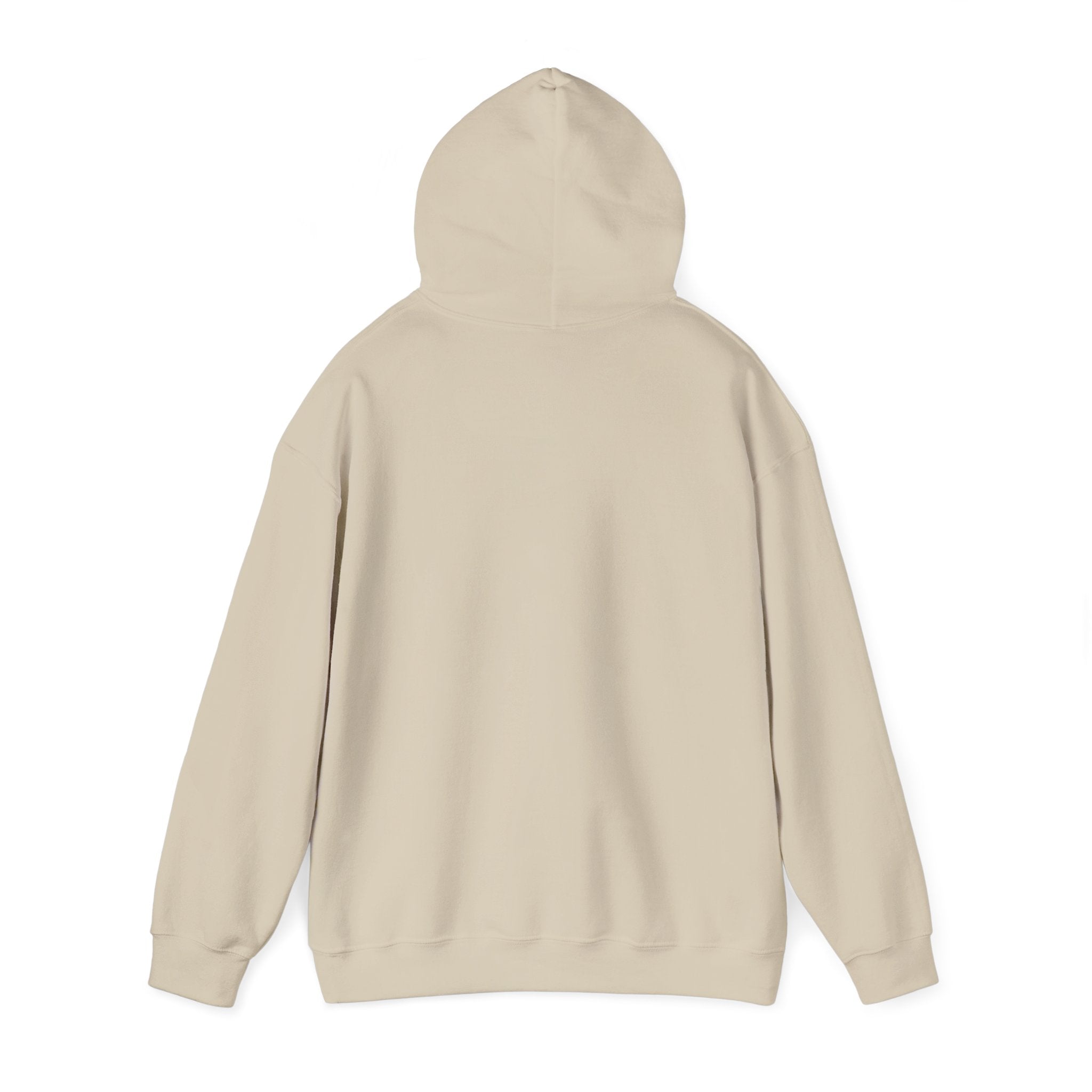 "God's Promises" Rainbow Christian Hoodie