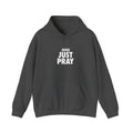 Just Pray Hoodie - Minimal Faith Graphic Hooded Sweatshirt