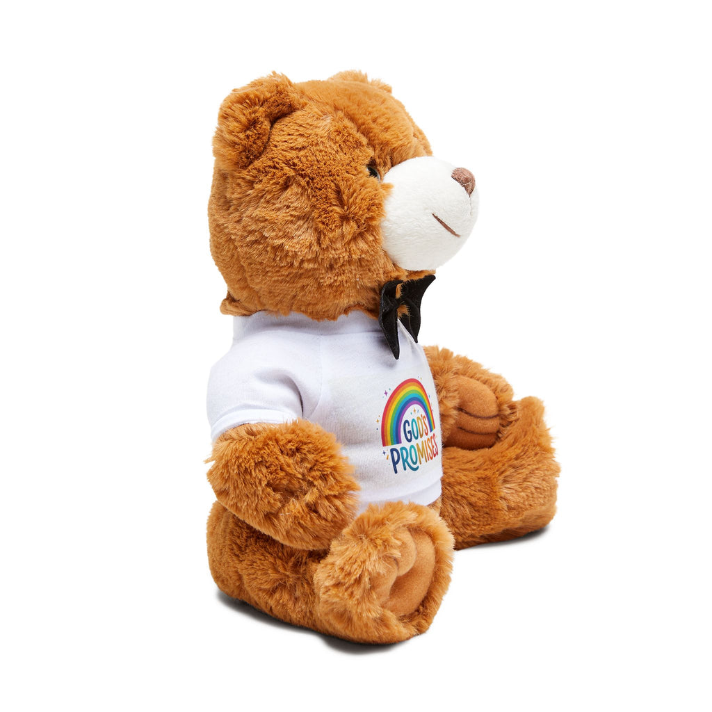 God's Promises Rainbow Teddy Bear