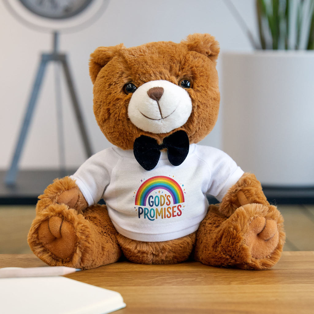 God's Promises Rainbow Teddy Bear